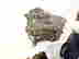 item-117902839=2