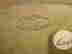 item-8273327=4