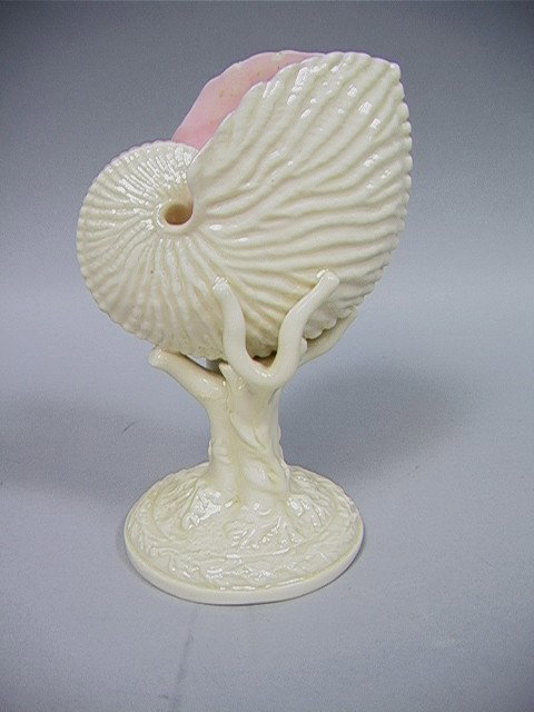 Royal Worcester Nautilus Shell Compote.: Royal Worcester Nautilus Shell Compote.-- Dimensions: H: 6.5 inches: W: 4.5 inches --- Condition (General): Good condition. One small chip and roughness to edge. Please contact us with specific questi