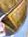 item-121997022=9
