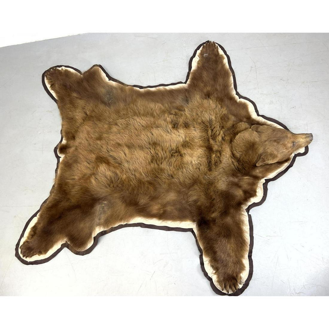 6' x 6'5 , Bear skin rug 8 inch head. Taxidermy. (1 of 10)