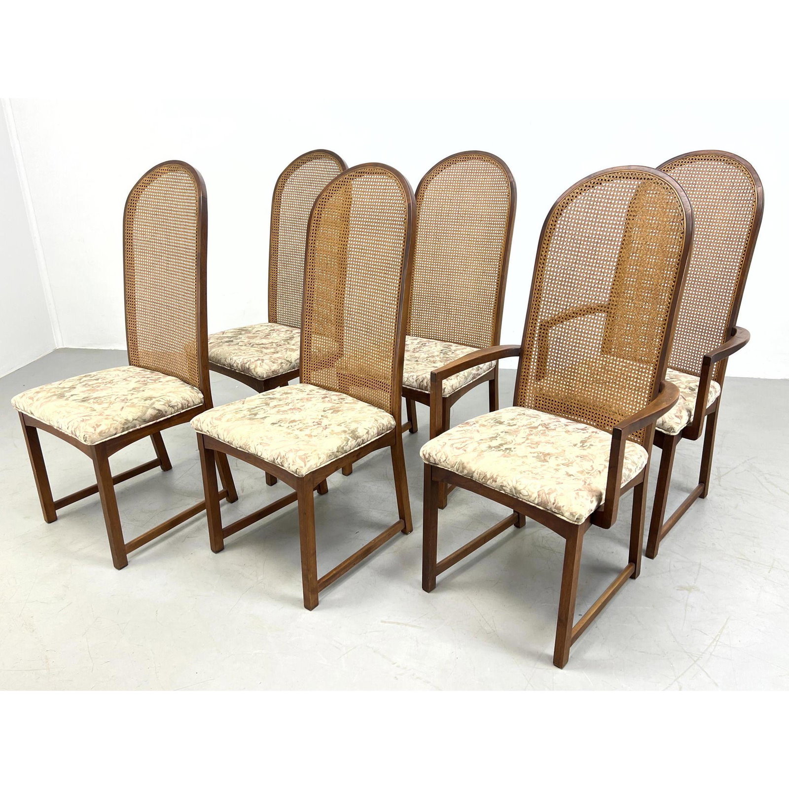 Set 6 Milo Baughman Tall Back Chairs. Cane Backs. (1 of 14)