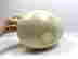item-132989928=8