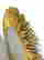 item-132990138=5