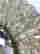 item-133014637=9