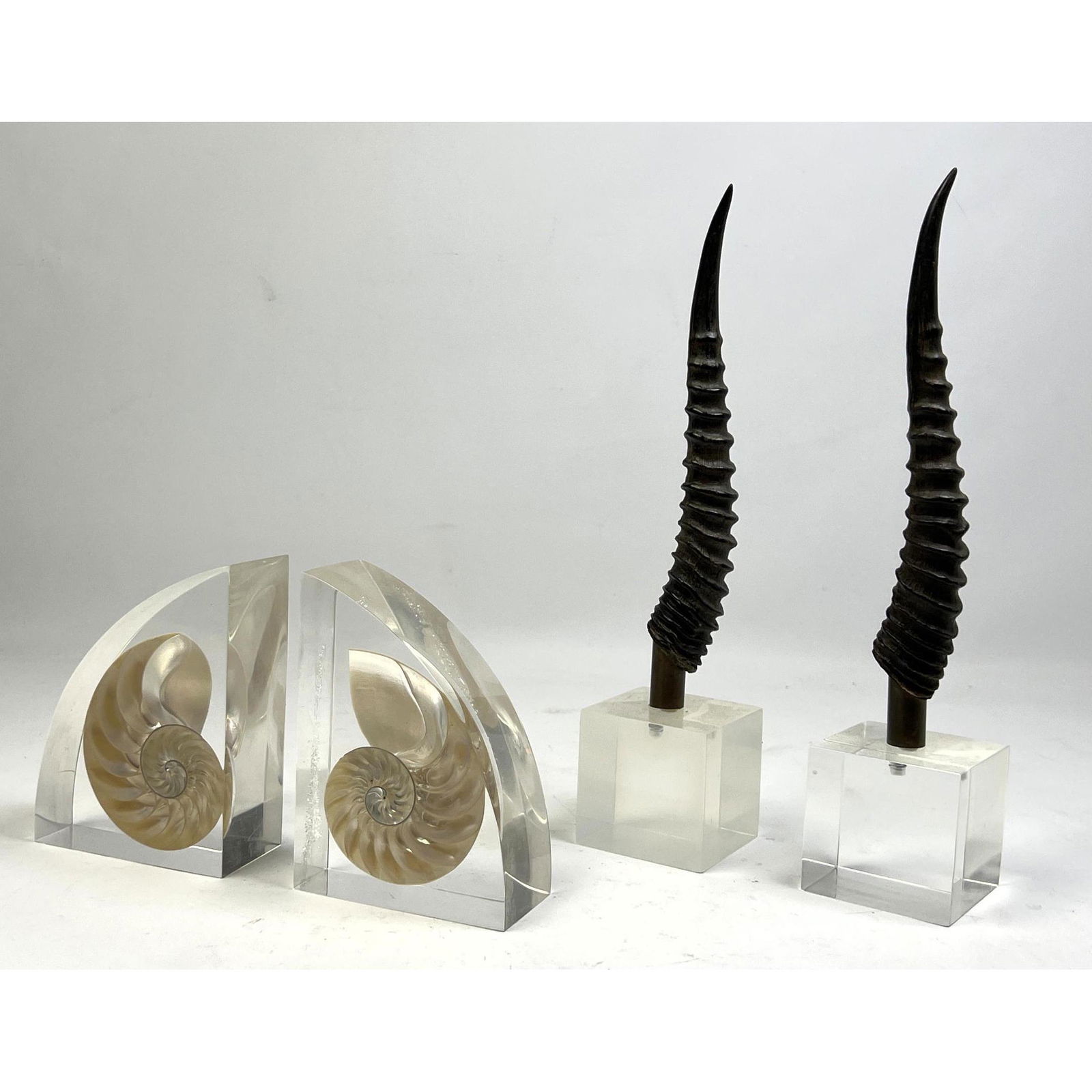 Mid Century Modern Acrylic Lot.  Nautalis shell bookends, mall Horn and lucite table sculptures. (1 of 7)