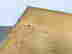 item-133014847=12