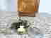 item-133015121=9