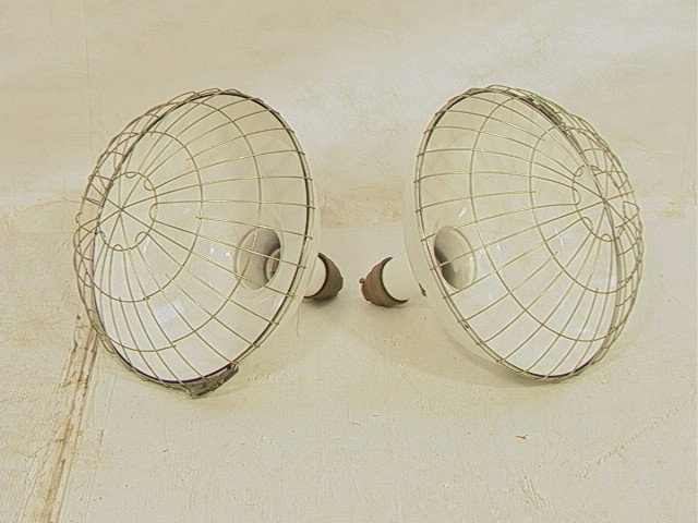 Pr Industrial White Enamel Hanging Light Fixtures: Pr Industrial White Enamel Hanging Light Fixtures. White enamels Shades with wire cage shield. 2 PCS.-- Dimensions: H: 20 inches: W: 18 inches --- Condition (General): Industrial. Chips to white porce