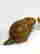 item-137344625=3