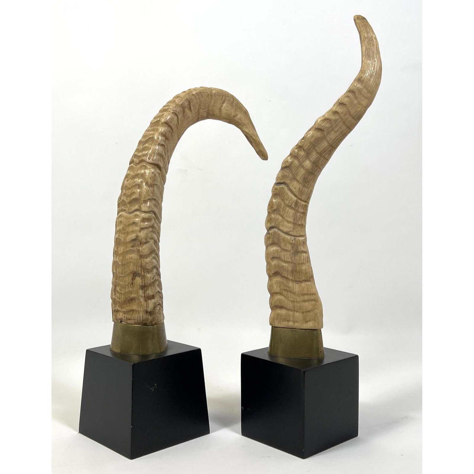 2pc Faux Horn Sculptures on Cube Bases.: 2pc Faux Horn Sculptures on Cube Bases. Dimensions: H: 15 inches: W: 4 inches: D: 3.5 inches ---