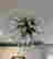 item-137511120=17