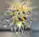 item-137511120=18