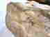 item-137511146=6