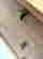 item-137511418=7