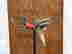 item-137589742=2