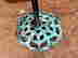 item-137589742=3