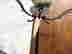 item-137589742=8