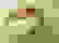 item-9878632=4
