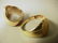 681: Two 14K Gold Ladies Rings. (1) 14K Band with 5 se - 2