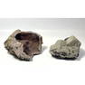 2pc Rock Mineral Specimen. Geode. Large Amethyst Crystals including calcite on dark purple fluorite