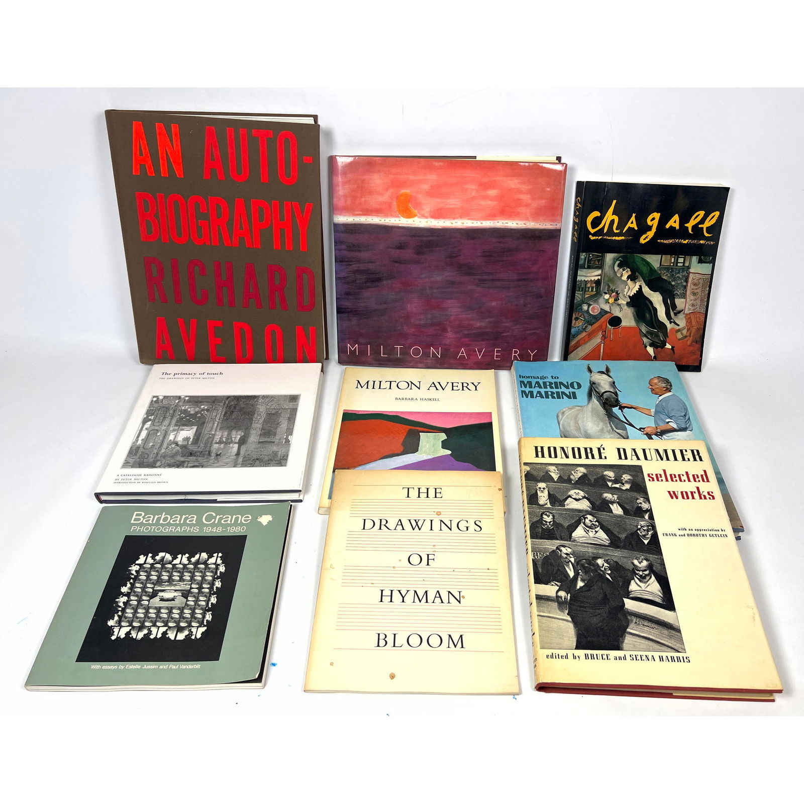 Lot Mid Century Art Books. Chagall, Richard Avedon, Hyman Bloom, Barbara Crane, Milton Avery, Marino (1 of 20)
