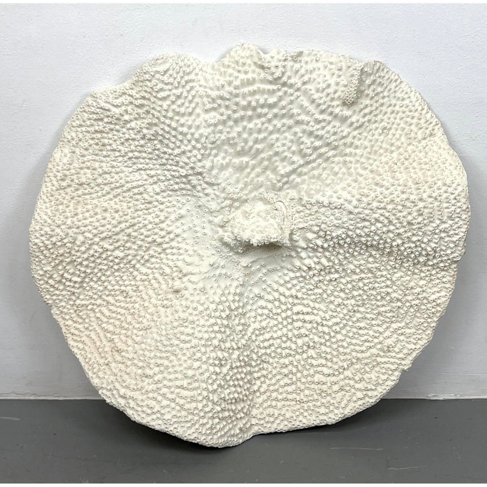 Cast Faux Coral Wall Sculpture. Modernist Organic Art. composite material.: Cast Faux Coral Wall Sculpture. Modernist Organic Art. composite material. Dimensions: Height: 24.5 inches, Width: 27 inches, Depth: 1 inches. --- US Packing and Shipping charge: In house shipping ava