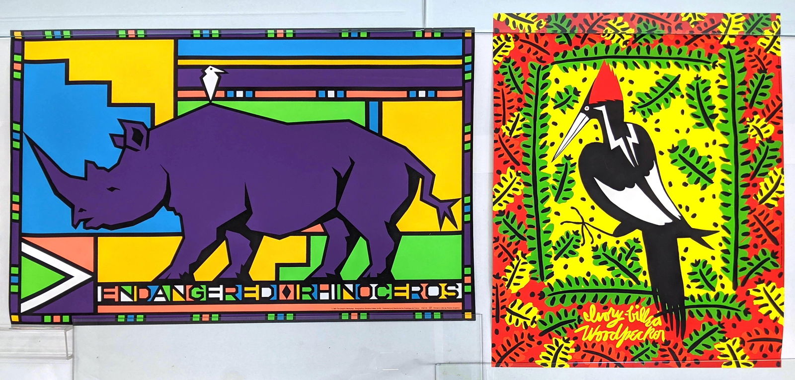 2pcs Endangered Poster Prints. Rhinoceros by Christine Kidder Griffin, and Ivory Billed Woodpecker b (1 of 13)
