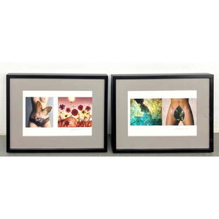 2pc SAM HASKINS Color Photographs in Two Frames. Two photos per frame. Each mat signed and dated 200: 2pc SAM HASKINS Color Photographs in Two Frames. Two photos per frame. Each mat signed and dated 2009. Dimensions: Frame Height: 23.5 inches, Frame Width: 31 inches. - Image Size: Image Height: 14 inc