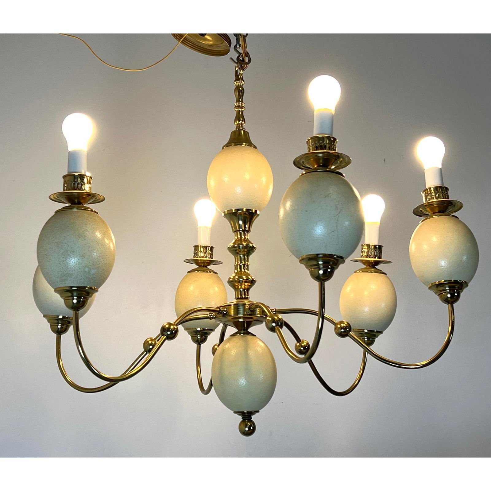 Large Ostrich Egg Chandelier. 6 Brass Arms. (1 of 10)