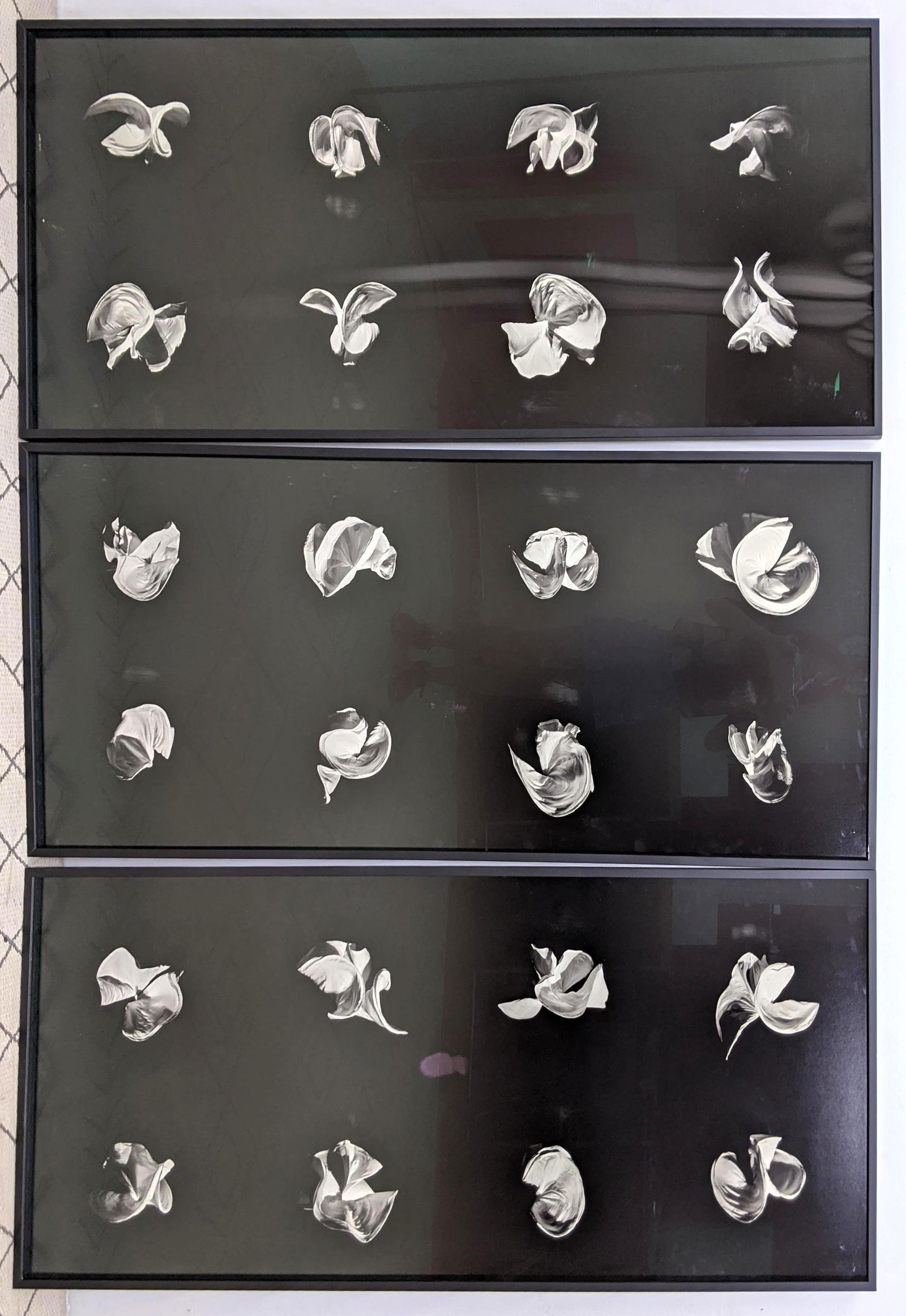 Large ELIN HANSDOTTIR "FRACTION" 3 pc print on archival paper. (1 of 13)