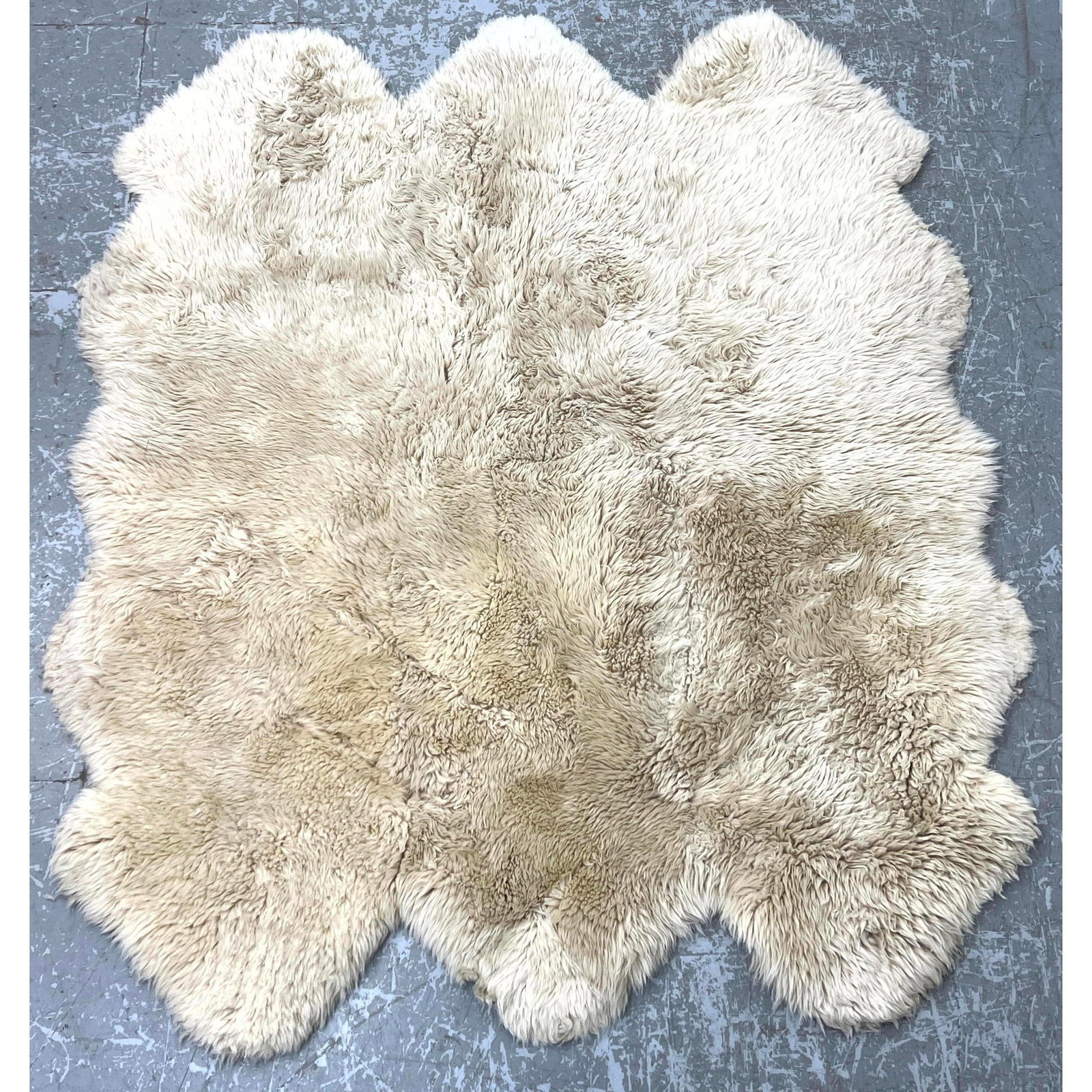 6'4 X 5'6 6'4 X 5'6 Sheep Skin Rugs: 6'4 X 5'6 6'4 X 5'6 Sheep Skin Rugs Dimensions: Height: 76 inches, Width: 66 inches. ---