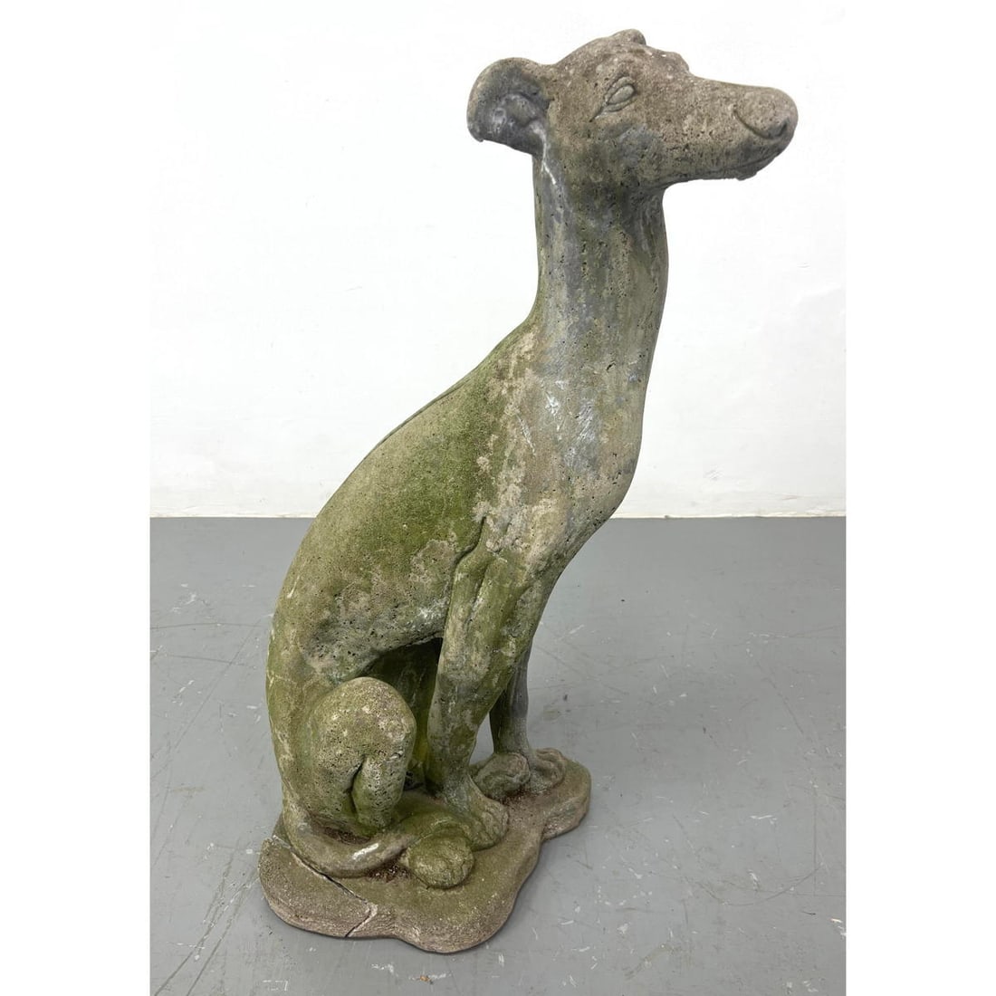Tall Concrete Whippet Dog Sculpture. Outdoor Garden. Greyhound.: Tall Concrete Whippet Dog Sculpture. Outdoor Garden. Greyhound. Dimensions: Height: 34 inches, Width: 12 inches, Depth: 15 inches. ---