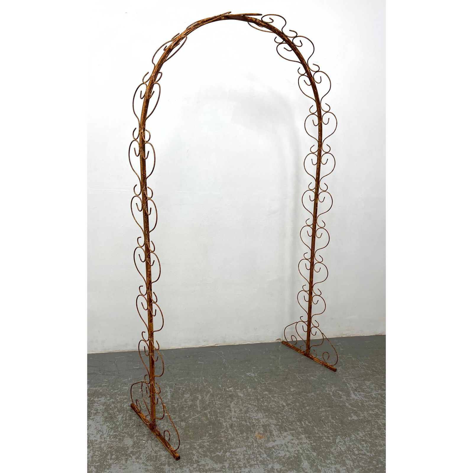 Whimsical wrought iron arch trellis. (1 of 7)