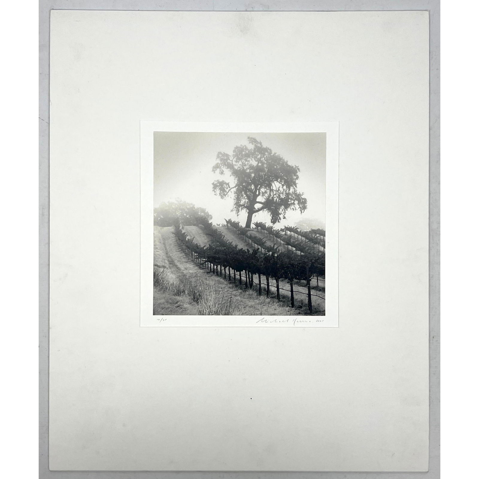 MICHAEL KENNA 2001 Silver Gelatin Print, Landscape. Knights Valley Vineyard, Napa Valley, California: MICHAEL KENNA 2001 Silver Gelatin Print, Landscape. Knights Valley Vineyard, Napa Valley, California, USA. Artist Pencil Signed and Dated. 2001. #14/45 Dimensions: Frame Height: 20 inches, Frame Width