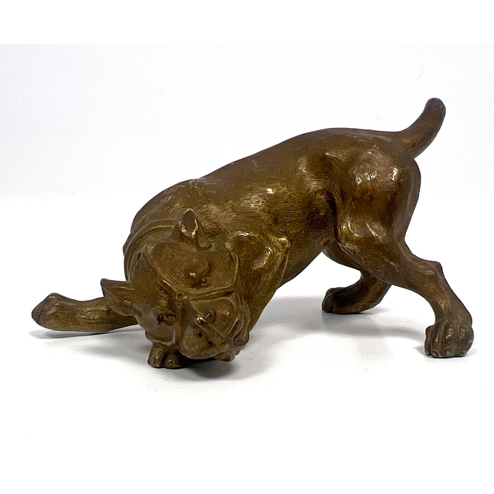 Austrian Bronze Dog Figure. Antique. Dog with Muzzle. (1 of 8)