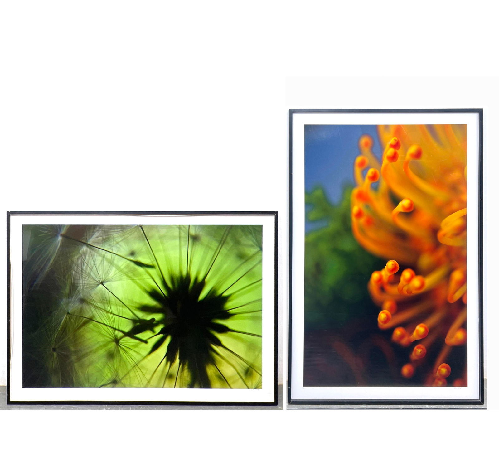 2pc Lot Large Ruth Litoff Photographs. Large Flowers. professionally framed.  Orange photo signed on (1 of 18)