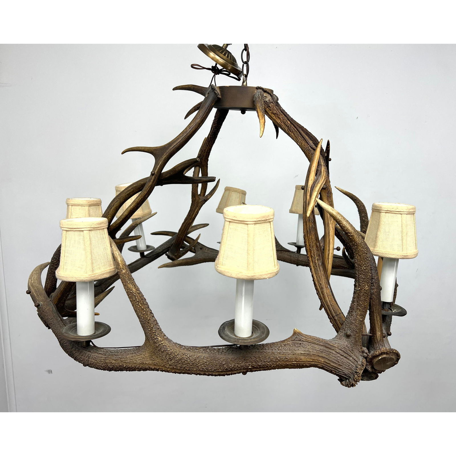 Natural Real Antler Hanging Chandelier. 8 "Candle" Form Lights and Shades. (1 of 10)