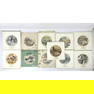 10pc TSENG YANG WEI original bird paintings on rice paper for collector plate. From the Franklin min