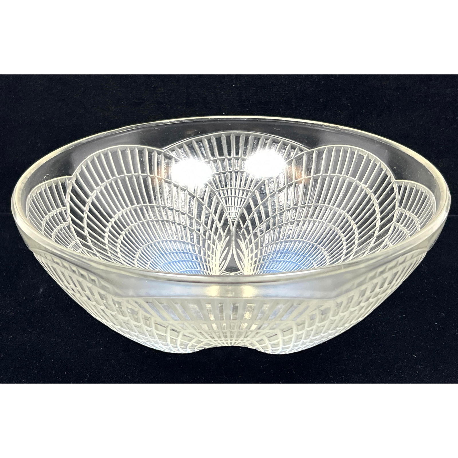 Rene Lalique Coupe Coquilles Bowls with Opalescent finish. Signed. (1 of 11)