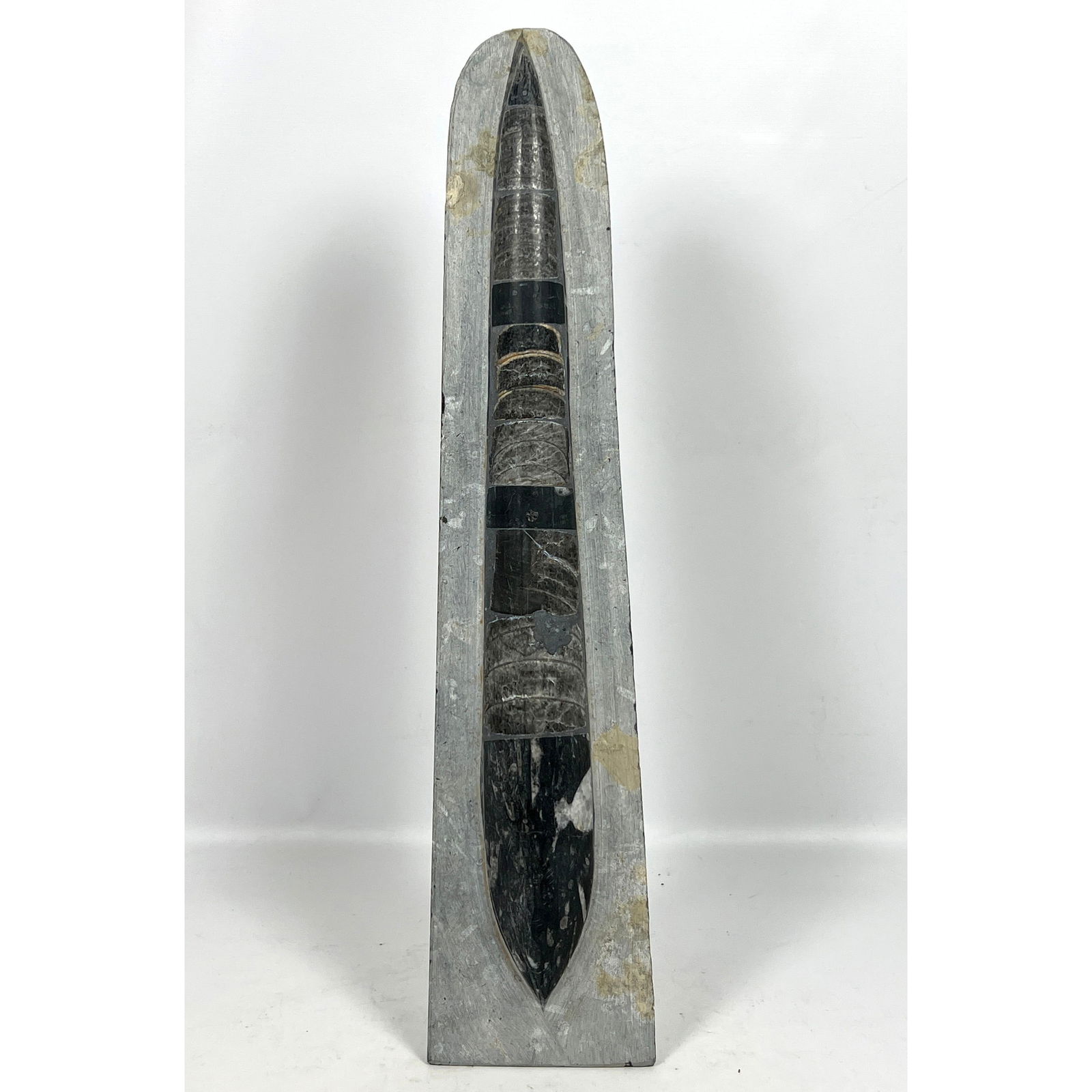 Single Polished Orthoceras sculpture. Freestanding. Fossil Black Stone Slab. (1 of 9)