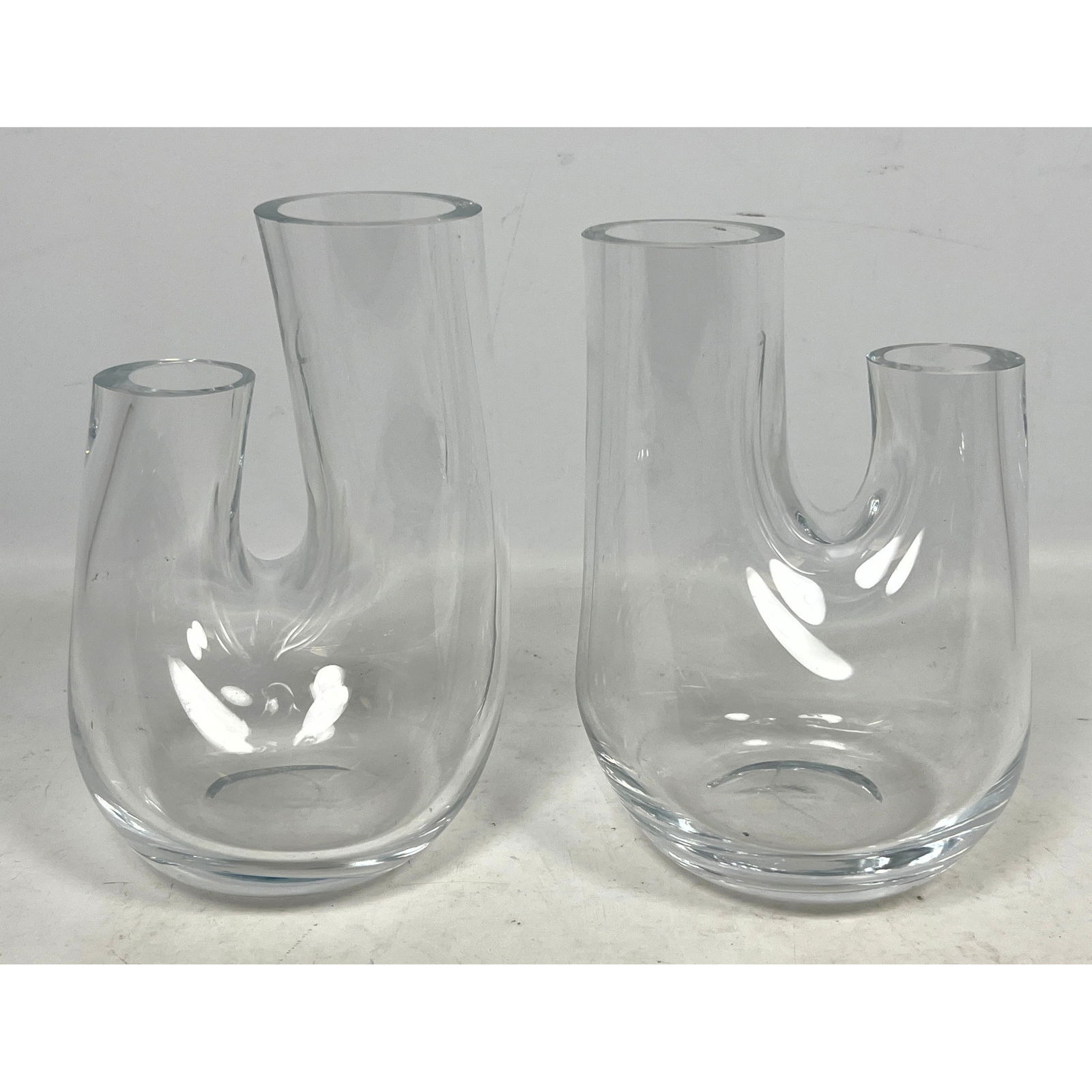 Pair Tom Dixon Terrarium Vases. Aorta. (1 of 11)