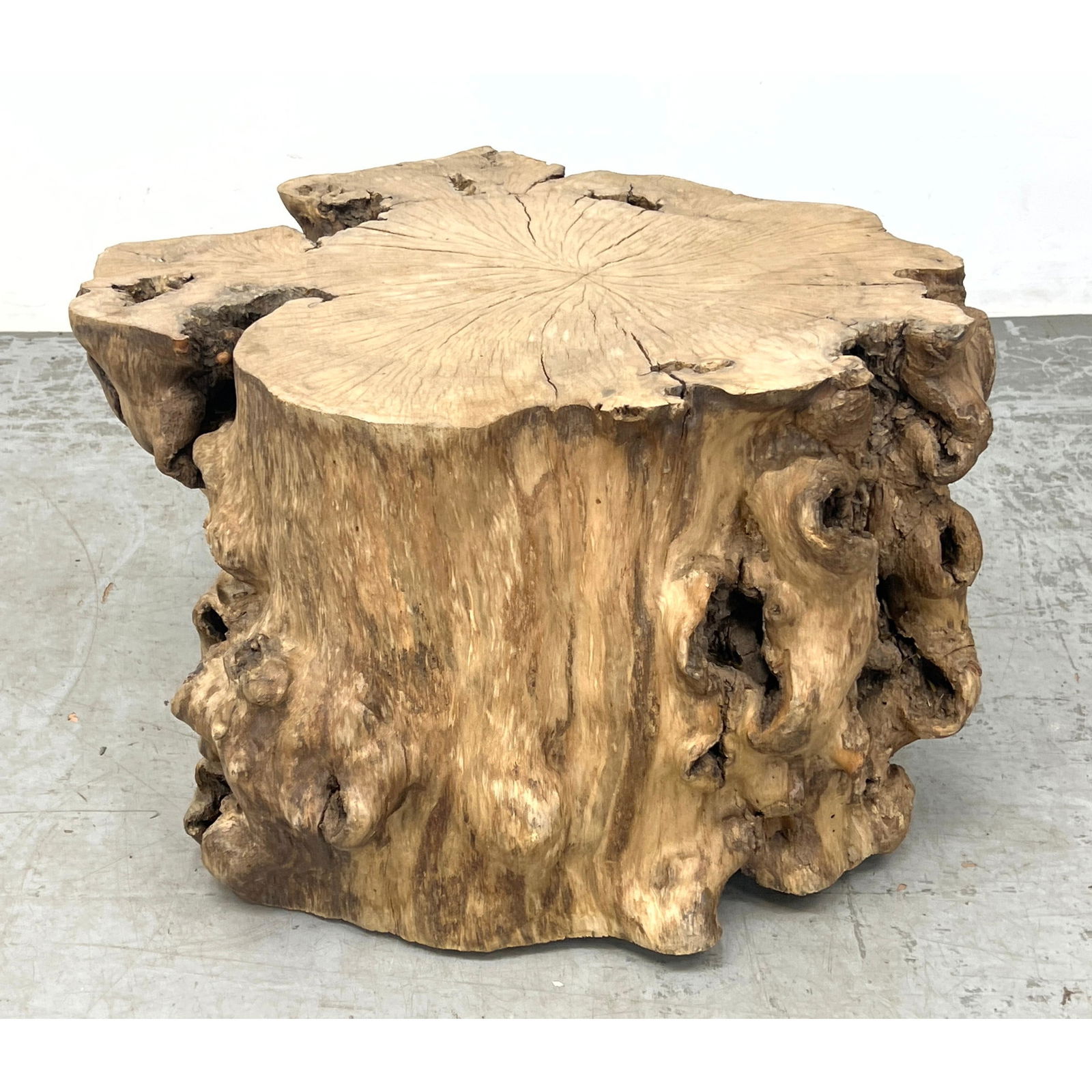 Solid Natural Wood Tree Trunk Table. Burl wood. (1 of 10)