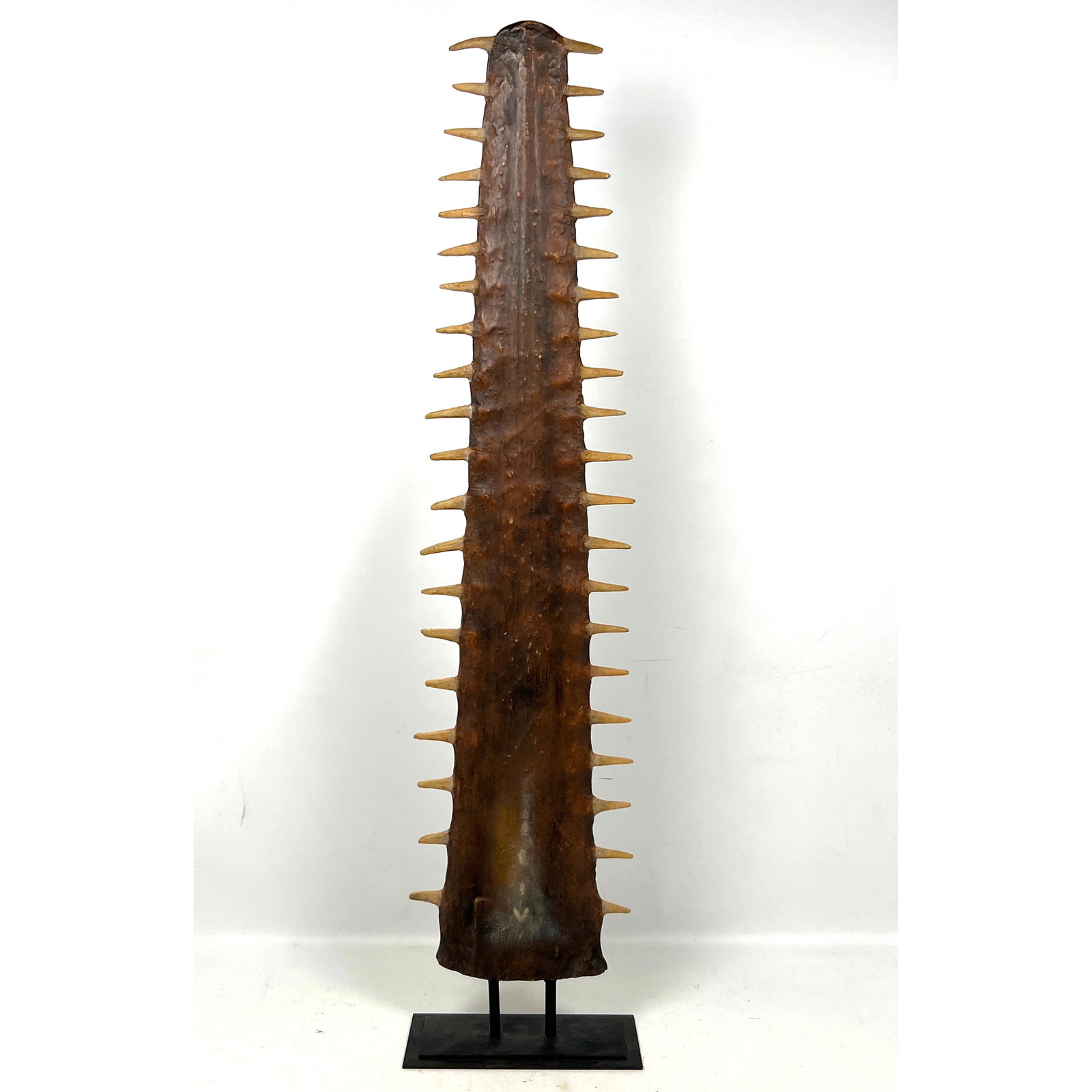 Decorative Replica of Sawfish Rostrum Sculpture. (1 of 10)