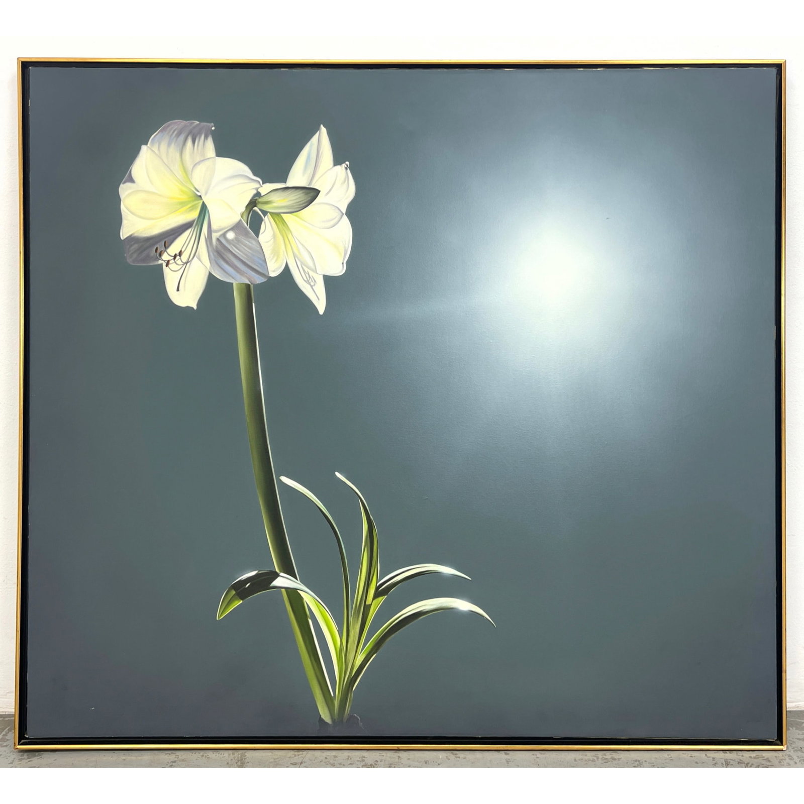 Large Realist Painting of Amaryllis on Canvas. botanical still life: Large Realist Painting of Amaryllis on Canvas. botanical still life Dimensions: Height: 47.5 inches, Width: 53.5 inches. --- - We offer curbside delivery for most items to NYC, Manhattan, Close Brookl