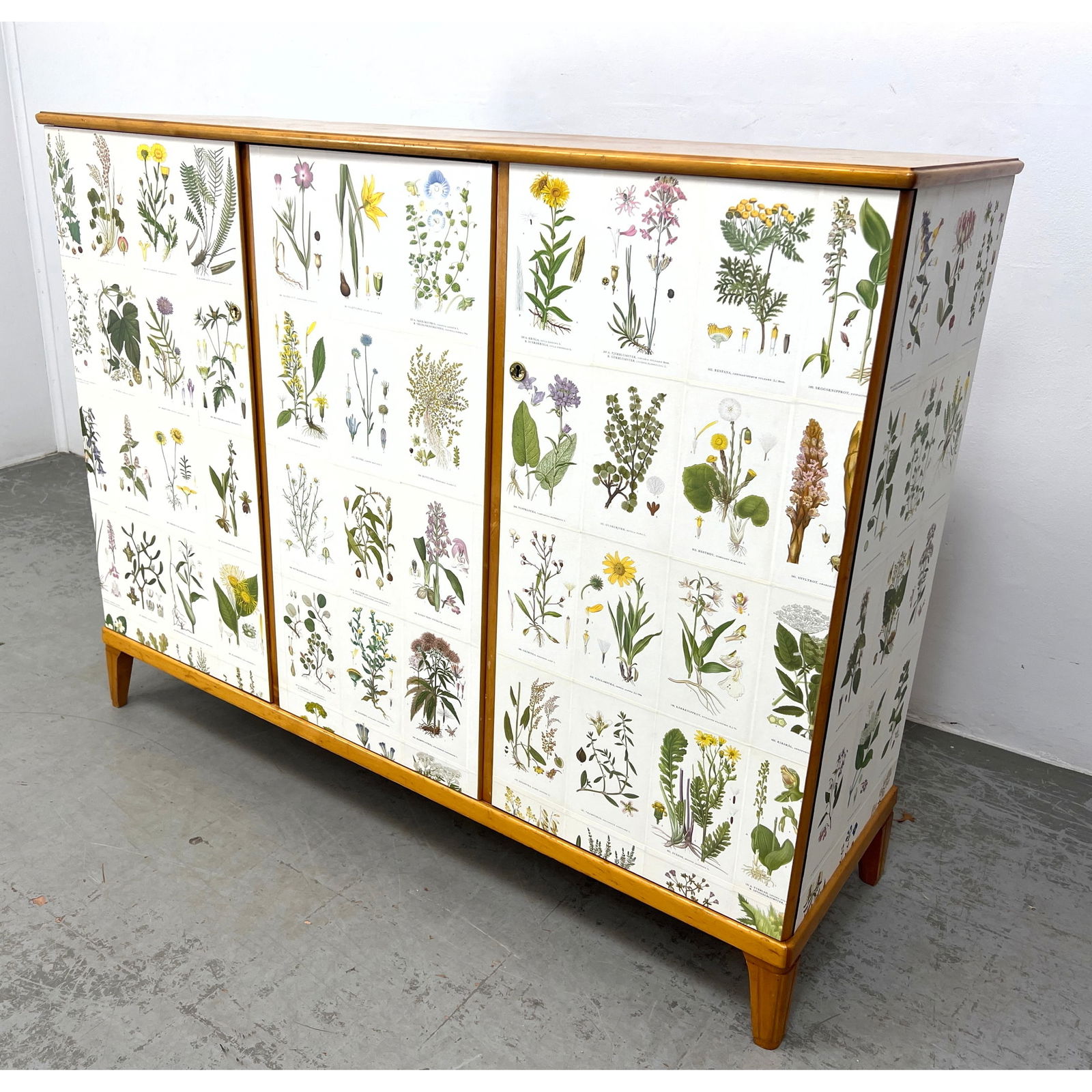 Swedish, Nordens Flora cabinet. Applied offset lithographs on Birch Cabinet. 3 doors with fitted int (1 of 13)