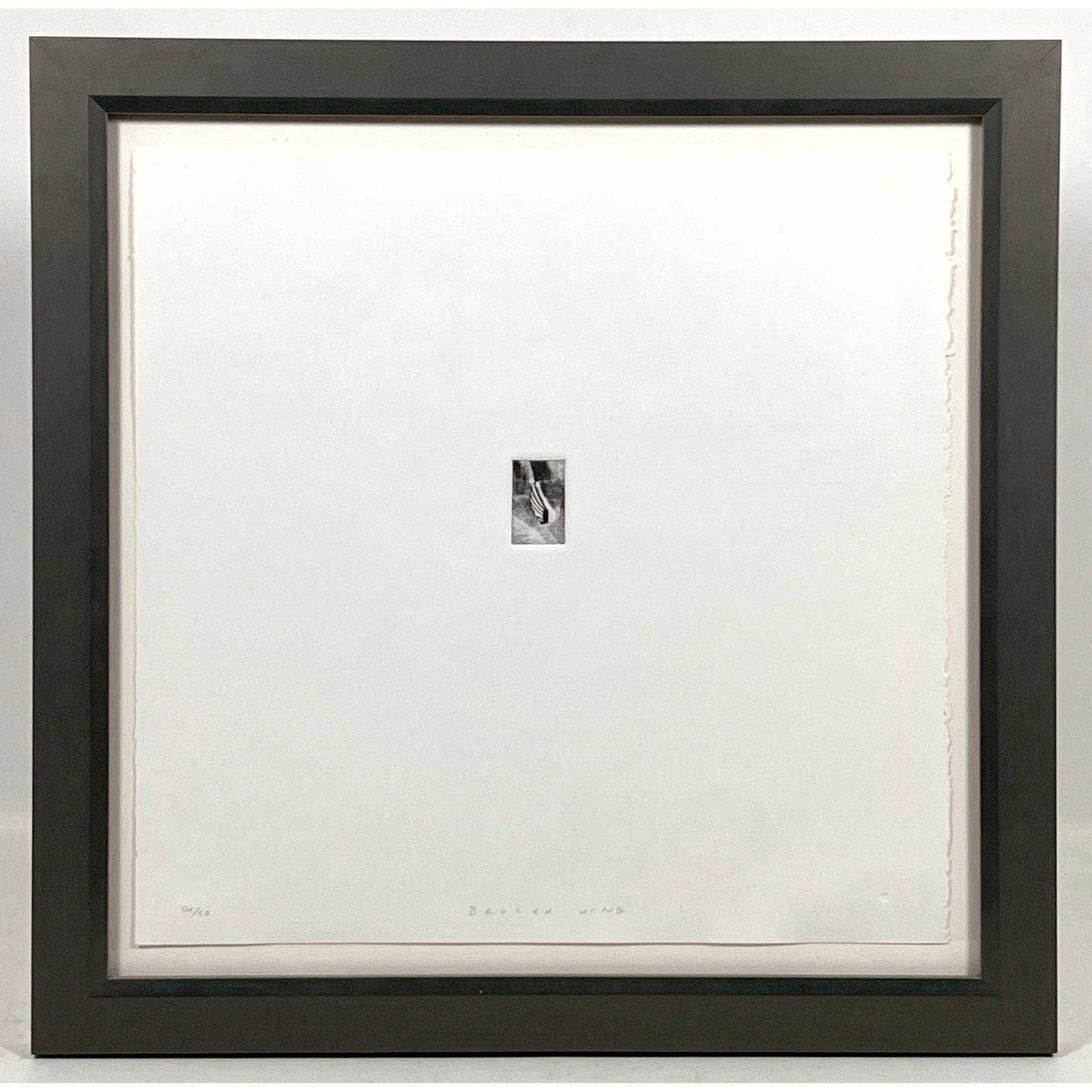 Bill Walton etching commissioned by Print Center. Broken wing 20/50 (1 of 9)