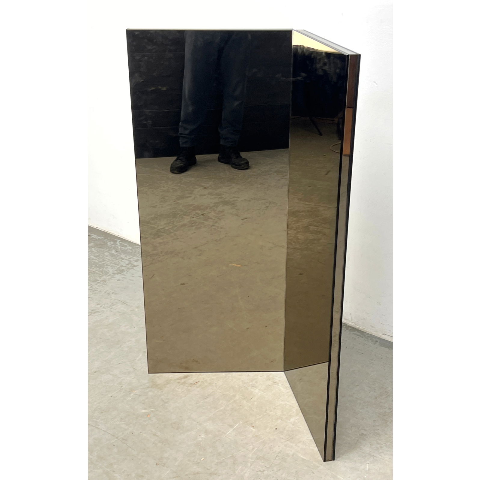 2 Panel Folding Floor Mirror Screen. Pose Mirror (1 of 9)