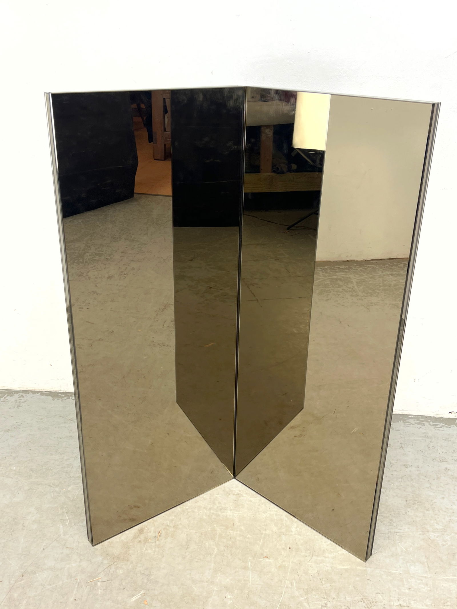 2 Panel Folding Floor Mirror Screen. Pose Mirror - 2
