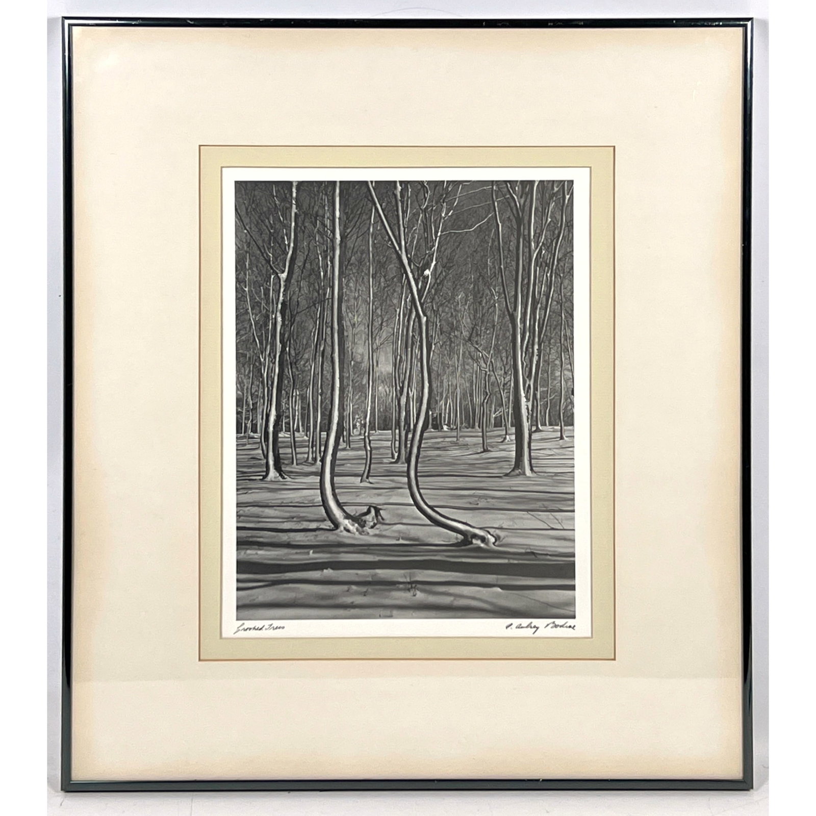 Original photograph A Aubrey Bodine "Crooked Trees": Original photograph A Aubrey Bodine "Crooked Trees" Dimensions: Frame Height: 22.75 inches, Frame Width: 20 inches. - Image Size: Image Height: 13.75 inches, Image Width: 10.75 inches. ---